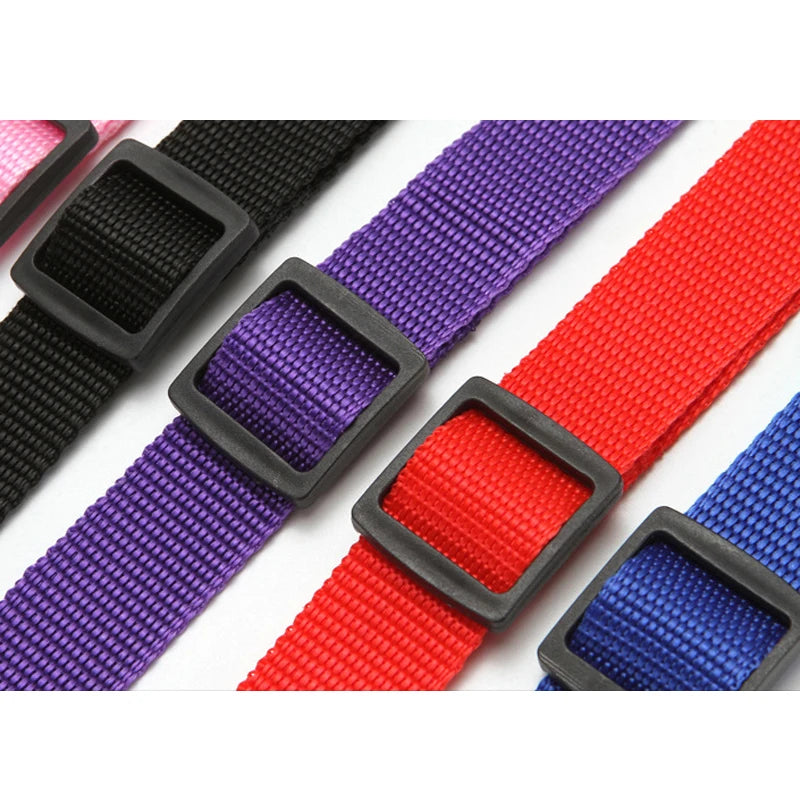 Solid Color Two-in-one Pet Car Seat Belt Nylon Lead Leash Backseat